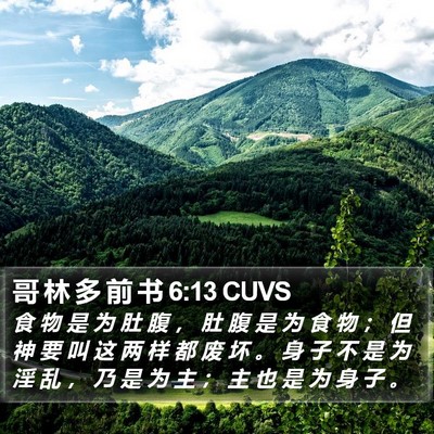 哥 林 多 前 书 6:13 CUVS Bible Verse Image