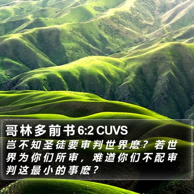 哥 林 多 前 书 6:2 CUVS Bible Verse Image
