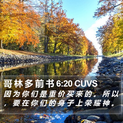 哥 林 多 前 书 6:20 CUVS Bible Verse Image