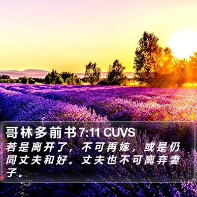 哥 林 多 前 书 7:11 CUVS Bible Verse Image