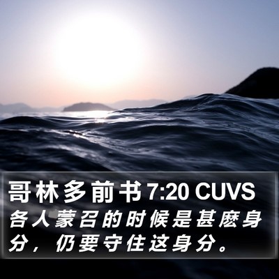 哥 林 多 前 书 7:20 CUVS Bible Verse Image