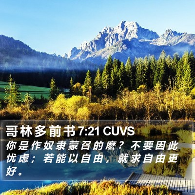 哥 林 多 前 书 7:21 CUVS Bible Verse Image
