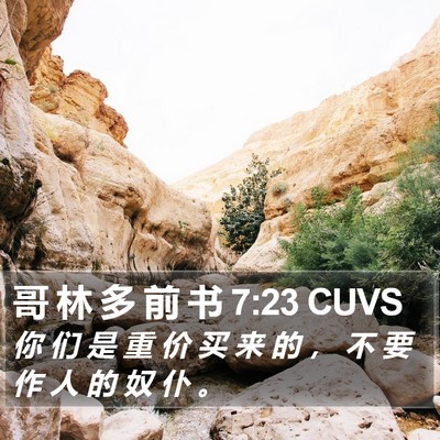 哥 林 多 前 书 7:23 CUVS Bible Verse Image