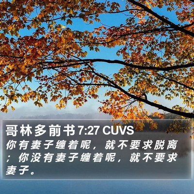 哥 林 多 前 书 7:27 CUVS Bible Verse Image