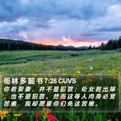 哥 林 多 前 书 7:28 CUVS Bible Verse Image