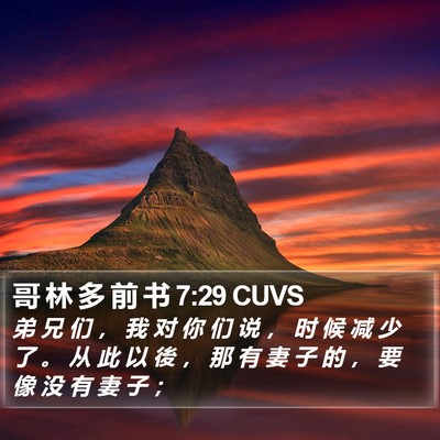 哥 林 多 前 书 7:29 CUVS Bible Verse Image