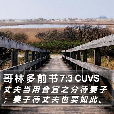 哥 林 多 前 书 7:3 CUVS Bible Verse Image