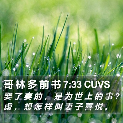 哥 林 多 前 书 7:33 CUVS Bible Verse Image