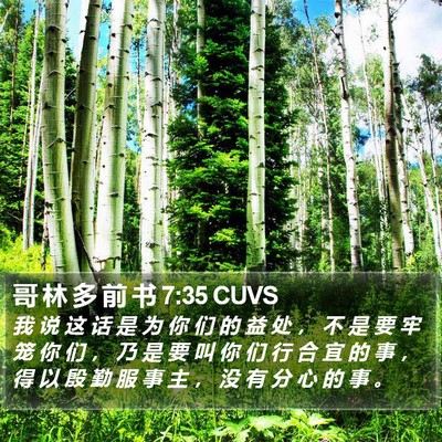 哥 林 多 前 书 7:35 CUVS Bible Verse Image