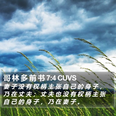哥 林 多 前 书 7:4 CUVS Bible Verse Image