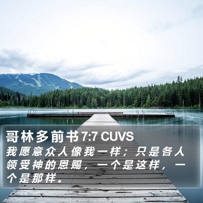哥 林 多 前 书 7:7 CUVS Bible Verse Image