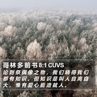 哥 林 多 前 书 8:1 CUVS Bible Verse Image