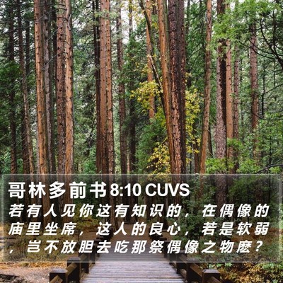 哥 林 多 前 书 8:10 CUVS Bible Verse Image