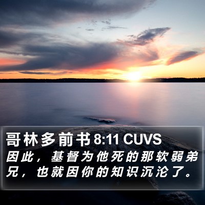 哥 林 多 前 书 8:11 CUVS Bible Verse Image