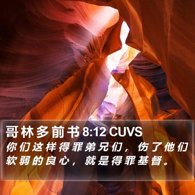 哥 林 多 前 书 8:12 CUVS Bible Verse Image