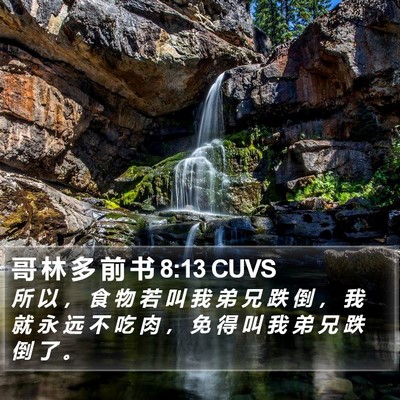 哥 林 多 前 书 8:13 CUVS Bible Verse Image