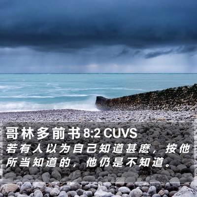 哥 林 多 前 书 8:2 CUVS Bible Verse Image