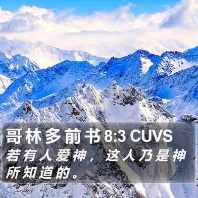 哥 林 多 前 书 8:3 CUVS Bible Verse Image