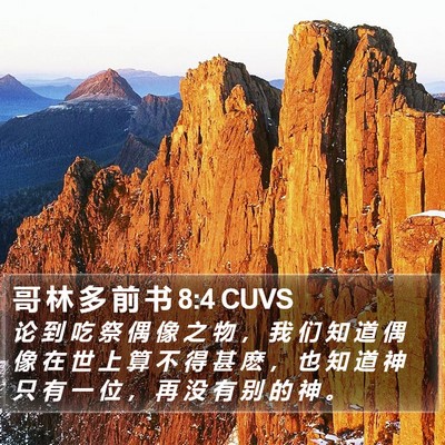 哥 林 多 前 书 8:4 CUVS Bible Verse Image