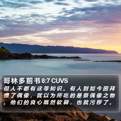 哥 林 多 前 书 8:7 CUVS Bible Verse Image
