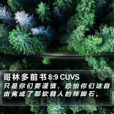 哥 林 多 前 书 8:9 CUVS Bible Verse Image
