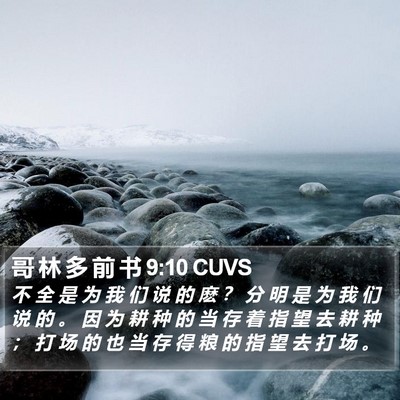 哥 林 多 前 书 9:10 CUVS Bible Verse Image