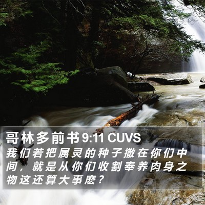 哥 林 多 前 书 9:11 CUVS Bible Verse Image
