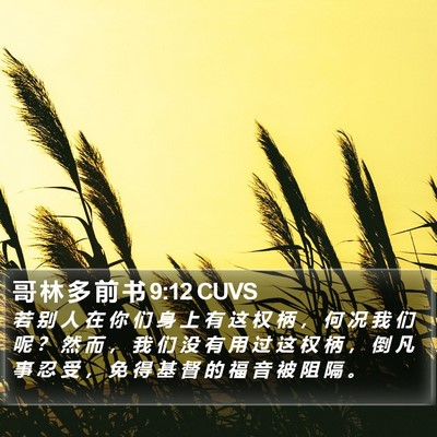 哥 林 多 前 书 9:12 CUVS Bible Verse Image