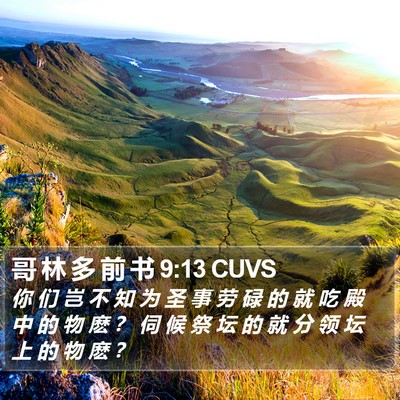 哥 林 多 前 书 9:13 CUVS Bible Verse Image