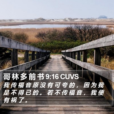 哥 林 多 前 书 9:16 CUVS Bible Verse Image