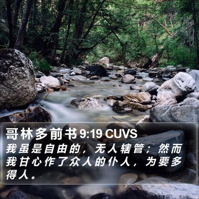 哥 林 多 前 书 9:19 CUVS Bible Verse Image