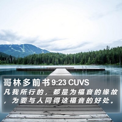哥 林 多 前 书 9:23 CUVS Bible Verse Image