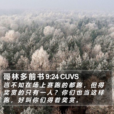 哥 林 多 前 书 9:24 CUVS Bible Verse Image