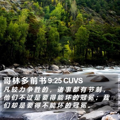 哥 林 多 前 书 9:25 CUVS Bible Verse Image