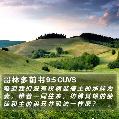 哥 林 多 前 书 9:5 CUVS Bible Verse Image