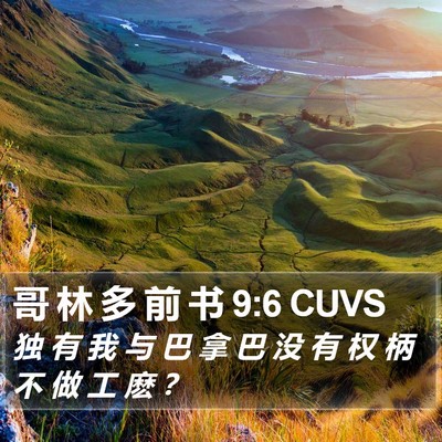 哥 林 多 前 书 9:6 CUVS Bible Verse Image