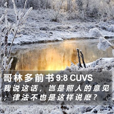 哥 林 多 前 书 9:8 CUVS Bible Verse Image