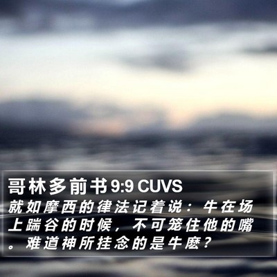 哥 林 多 前 书 9:9 CUVS Bible Verse Image