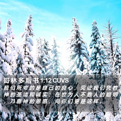 哥 林 多 后 书 1:12 CUVS Bible Verse Image