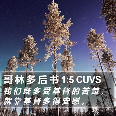 哥 林 多 后 书 1:5 CUVS Bible Verse Image