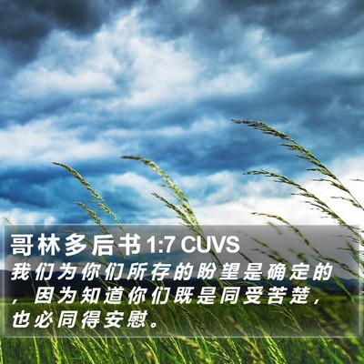 哥 林 多 后 书 1:7 CUVS Bible Verse Image