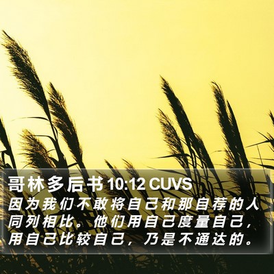 哥 林 多 后 书 10:12 CUVS Bible Verse Image