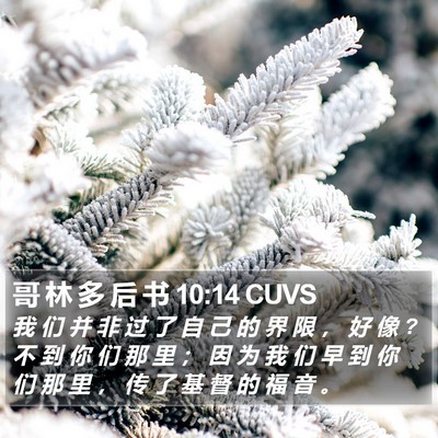 哥 林 多 后 书 10:14 CUVS Bible Verse Image