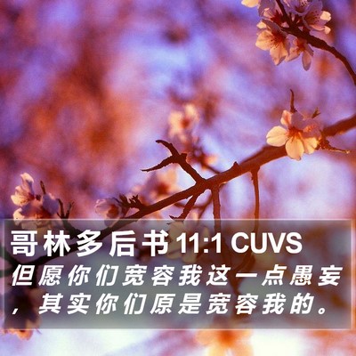 哥 林 多 后 书 11:1 CUVS Bible Verse Image