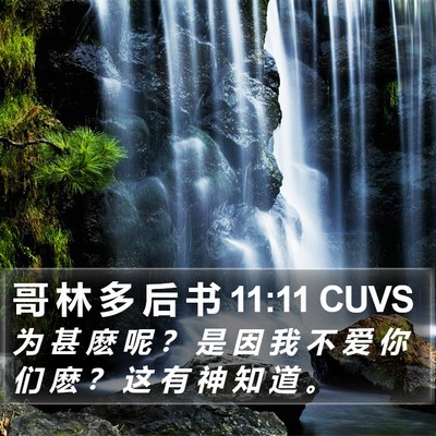 哥 林 多 后 书 11:11 CUVS Bible Verse Image