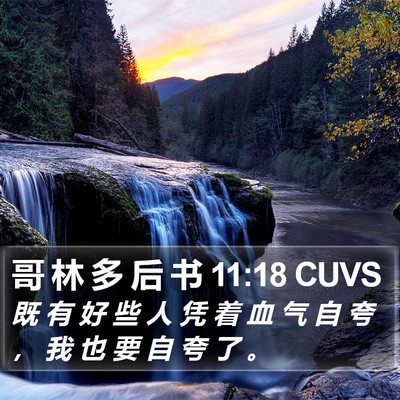 哥 林 多 后 书 11:18 CUVS Bible Verse Image
