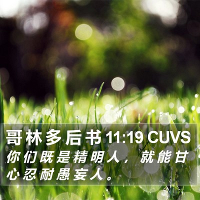 哥 林 多 后 书 11:19 CUVS Bible Verse Image