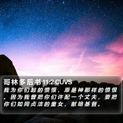 哥 林 多 后 书 11:2 CUVS Bible Verse Image