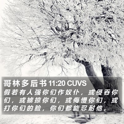 哥 林 多 后 书 11:20 CUVS Bible Verse Image