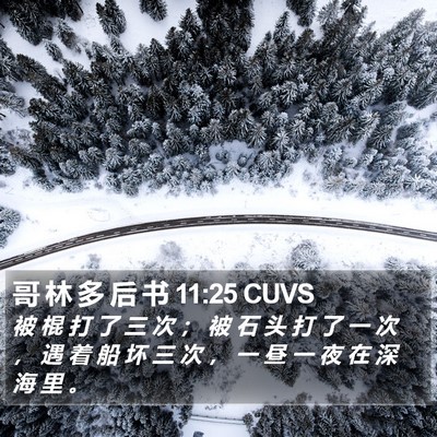 哥 林 多 后 书 11:25 CUVS Bible Verse Image